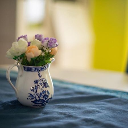 Apartment Dunja Nowy Sad Zewnętrze zdjęcie
