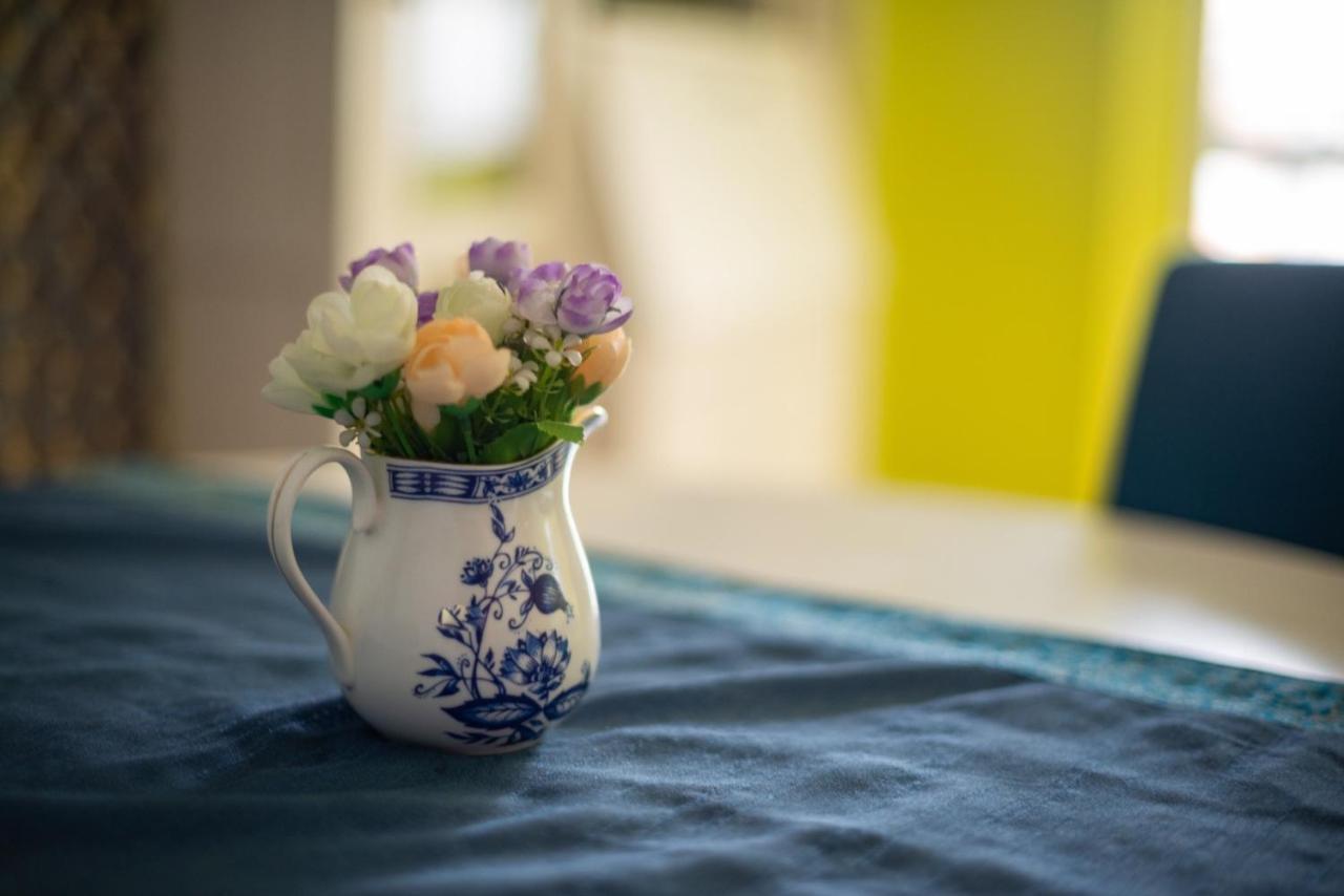 Apartment Dunja Nowy Sad Zewnętrze zdjęcie